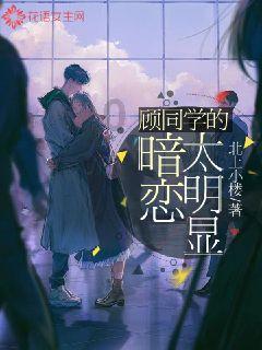 极限竞速7